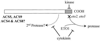 Figure 10.