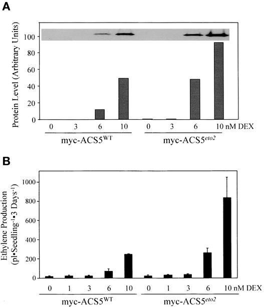 Figure 5.