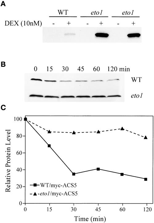 Figure 9.