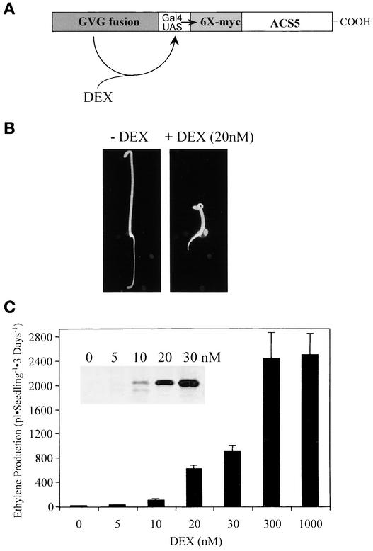 Figure 4.