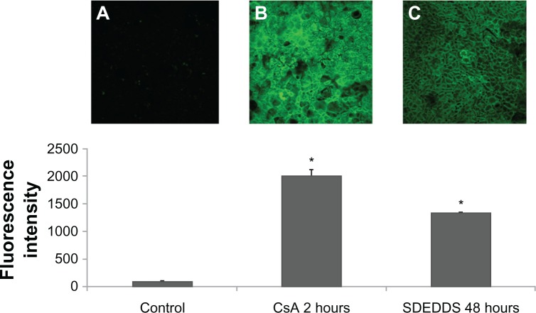 Figure 6