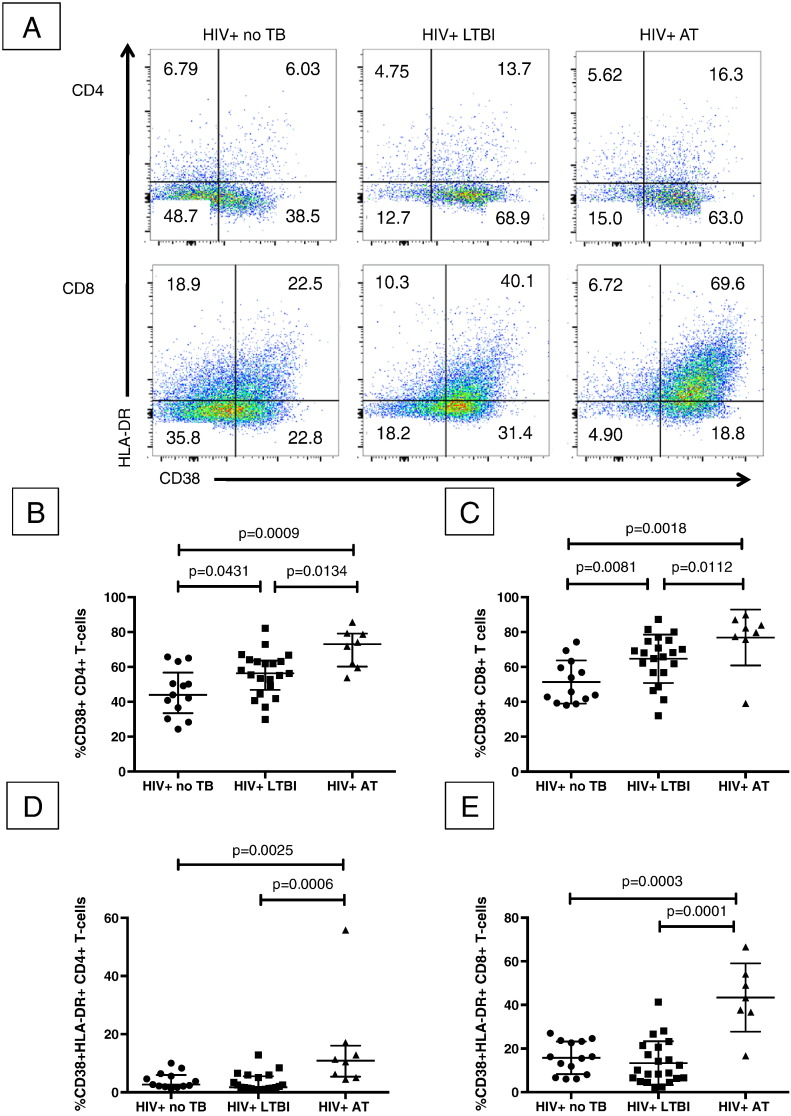 Fig. 2