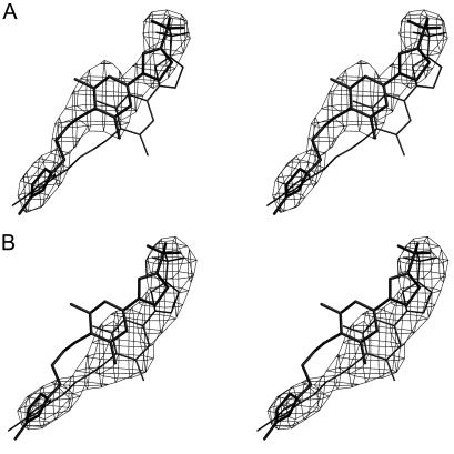 FIG. 5.