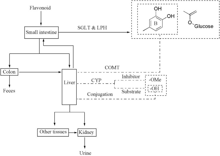 Fig. 5