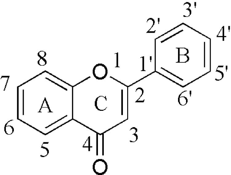 Fig. 1