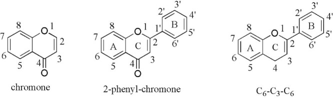 Fig. 2