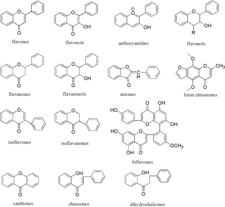 Fig. 3