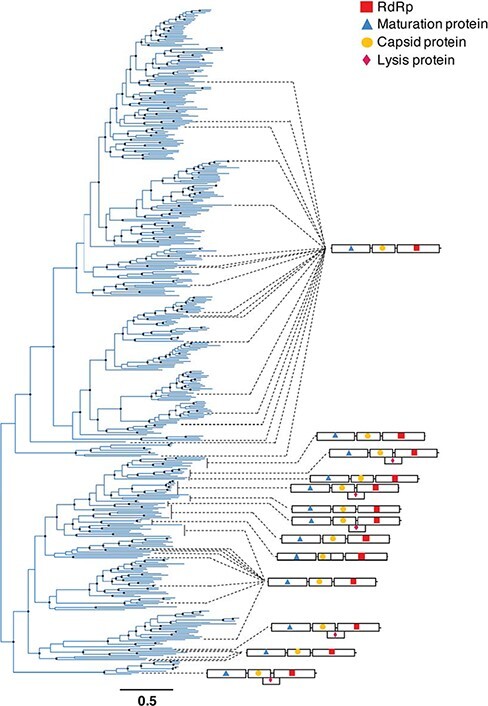 Figure 6.