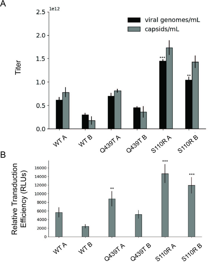 Figure 5—figure supplement 1.