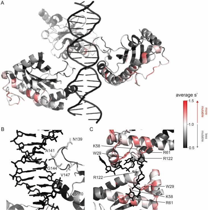 Figure 3.