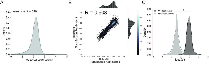 Figure 1—figure supplement 1.