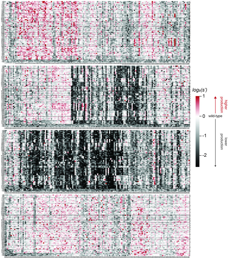 Figure 2—figure supplement 4.