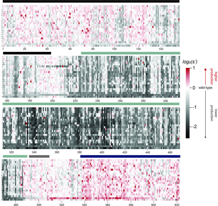 Figure 2—figure supplement 1.