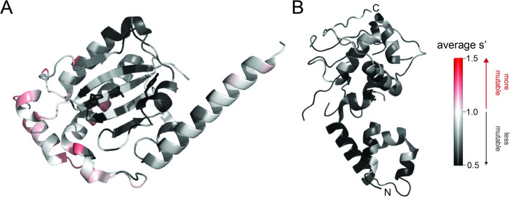 Figure 3—figure supplement 1.