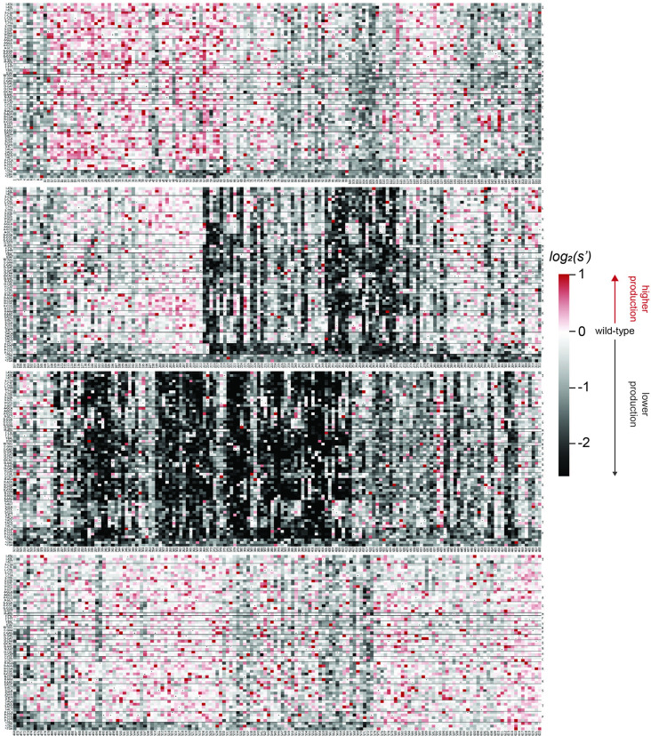 Figure 6—figure supplement 4.