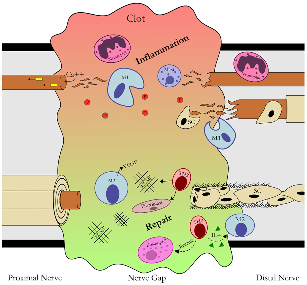 Figure 3 –