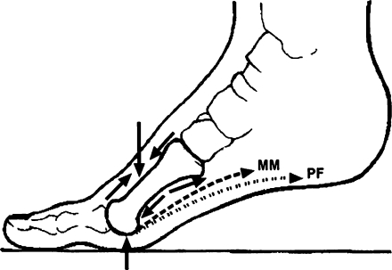 Fig. 5