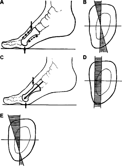 Fig. 4