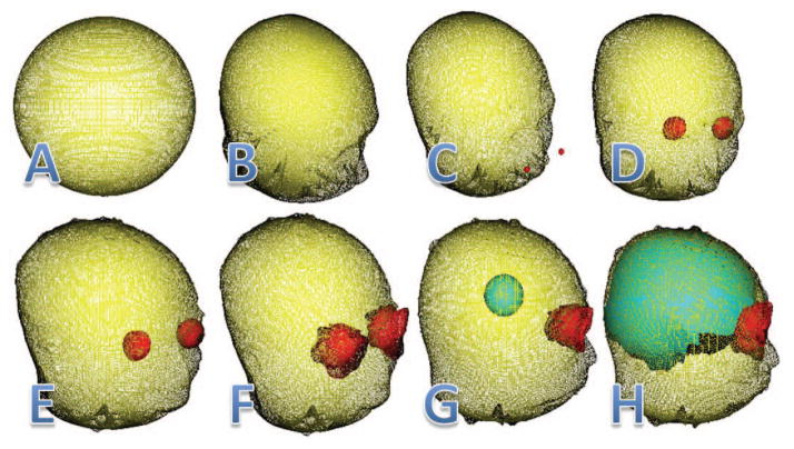 Fig. 4