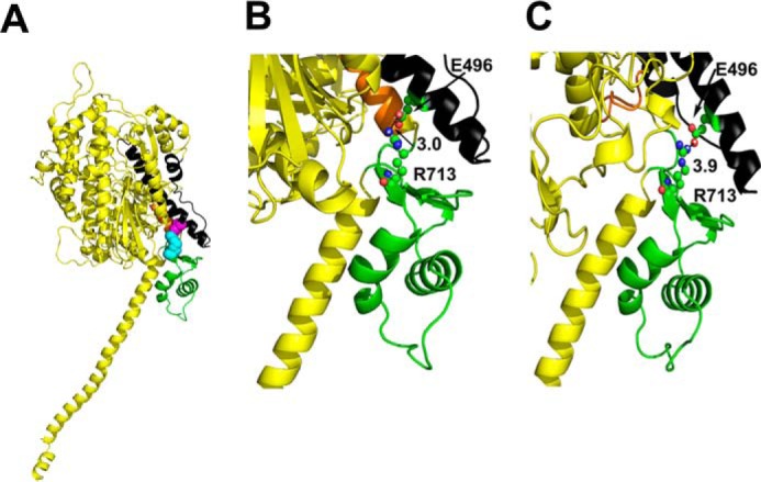 FIGURE 1.