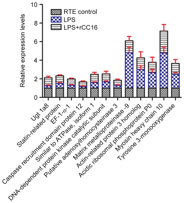 Figure 2.