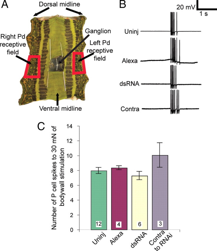 Figure 7.