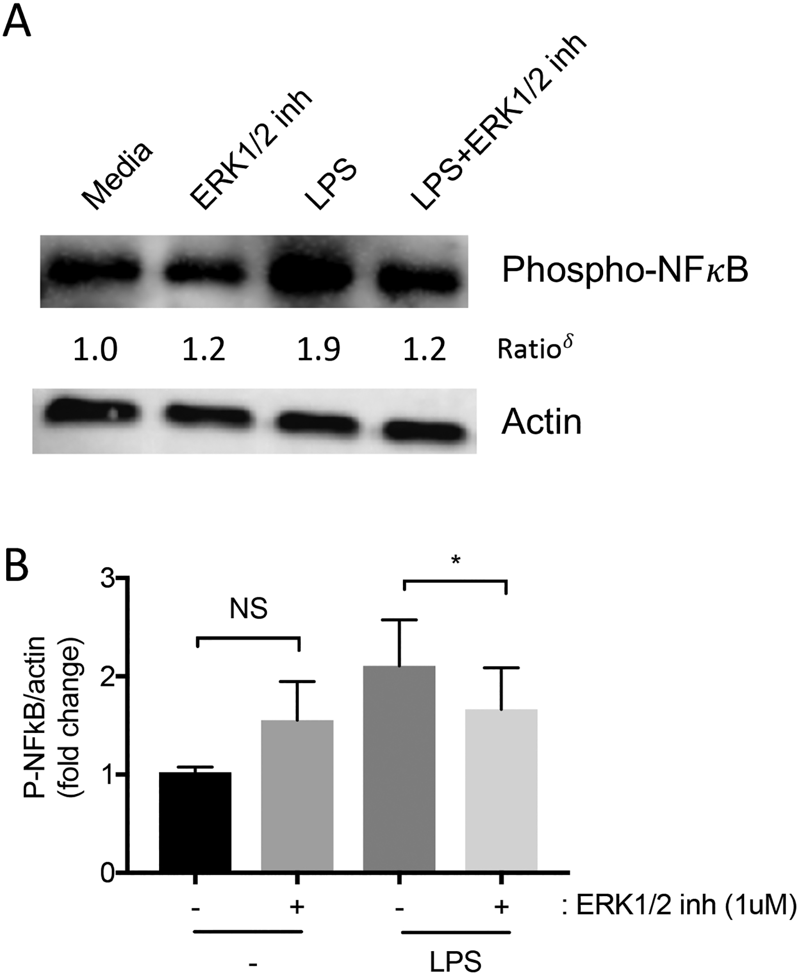 Figure 3: