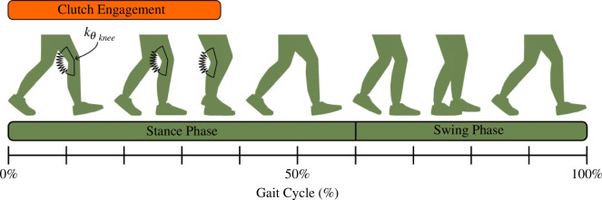 Exoskeleton Activation Across the Gait Cycle.