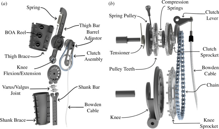 Exoskeleton Assembly. (a) Render of the exoskeleton frame and straps.