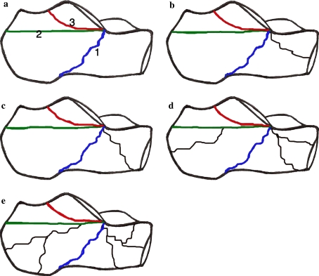 Fig. 1