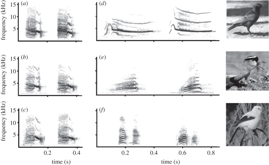 Figure 1.