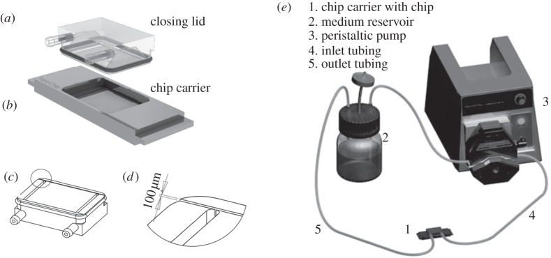 Figure 1.