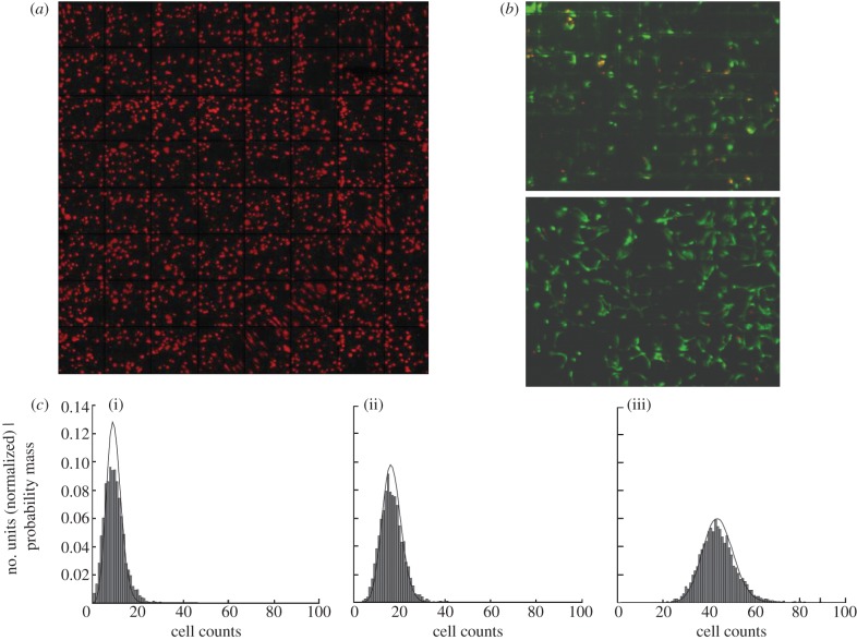 Figure 2.