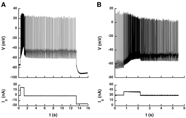 Figure 6