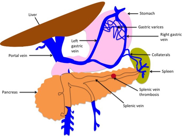 Figure 2