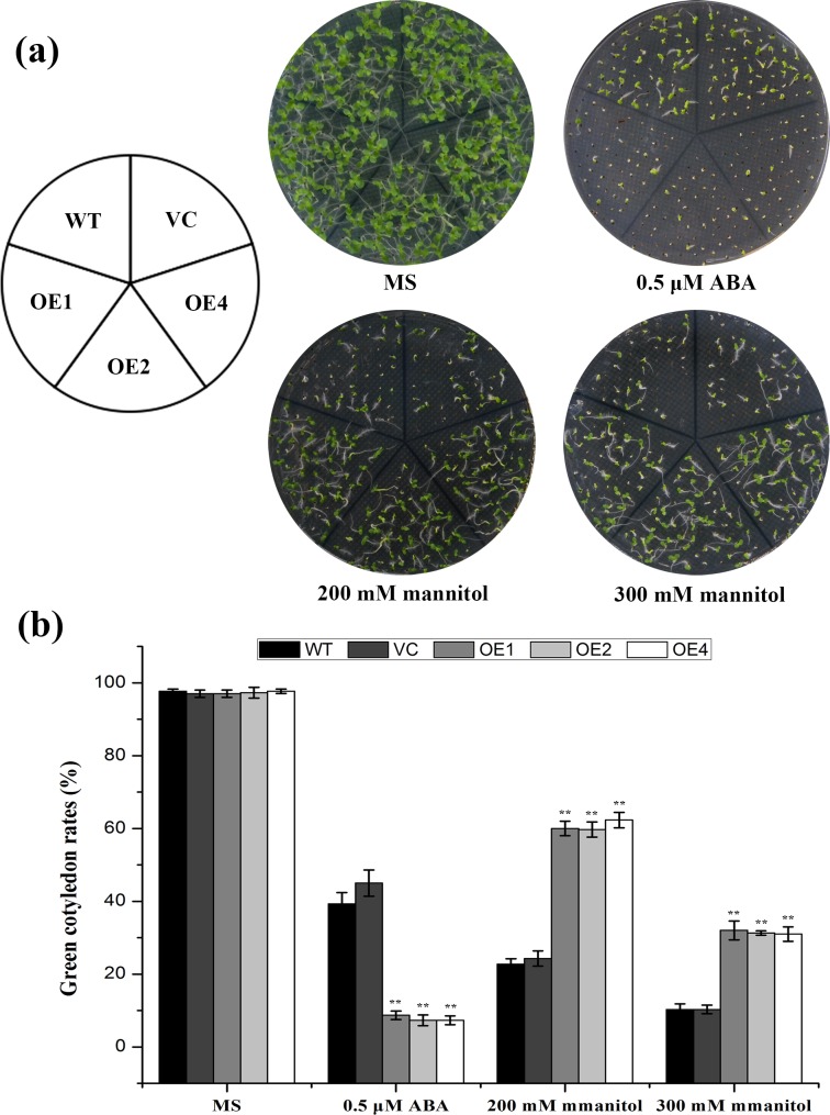 Fig 8