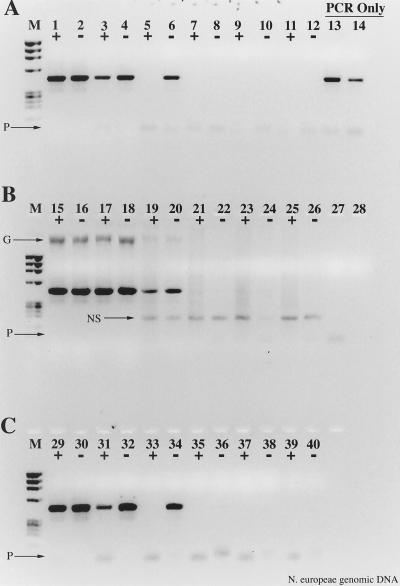 FIG. 10