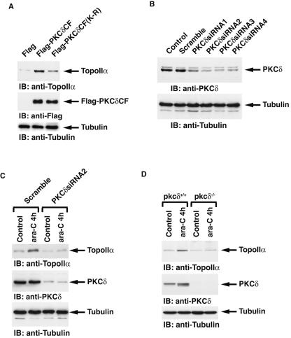 FIG. 9.