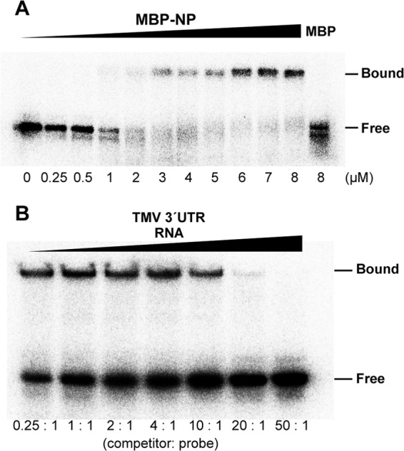 FIG 7