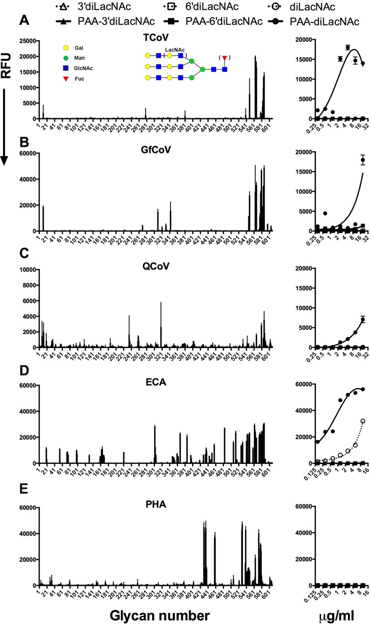 FIG 5