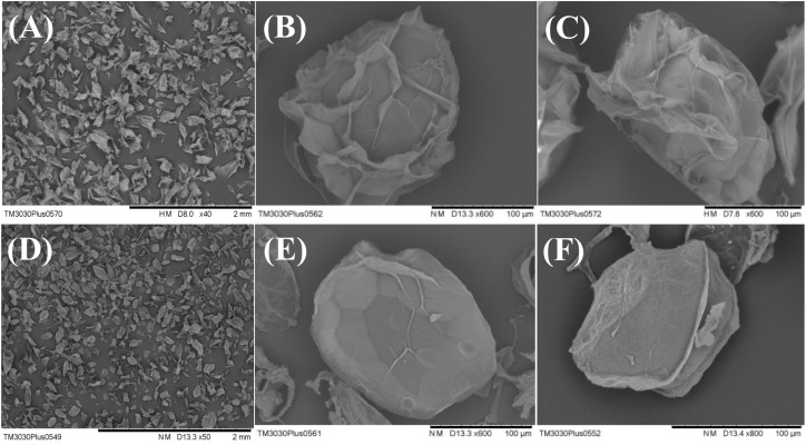 FIGURE 3