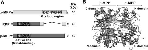 FIG. 2.