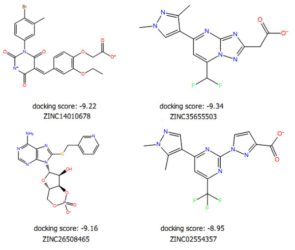 Figure 4