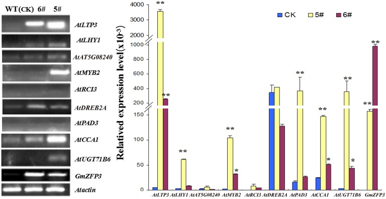 Figure 6