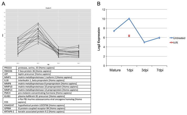 Fig. 7