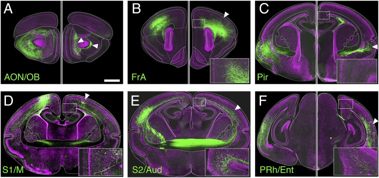 Fig. 6.