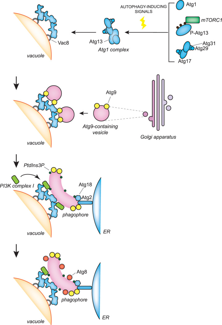 Figure 2.