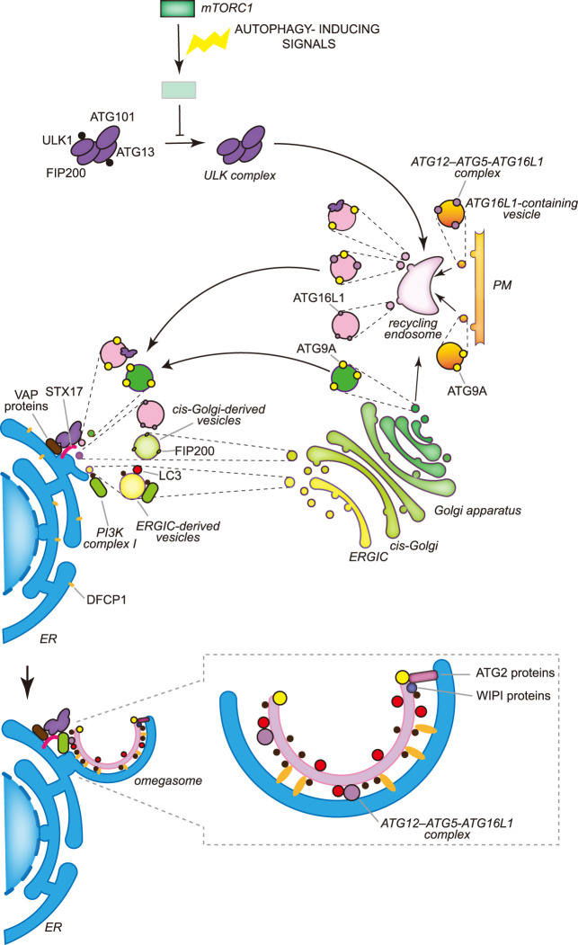 Figure 3.