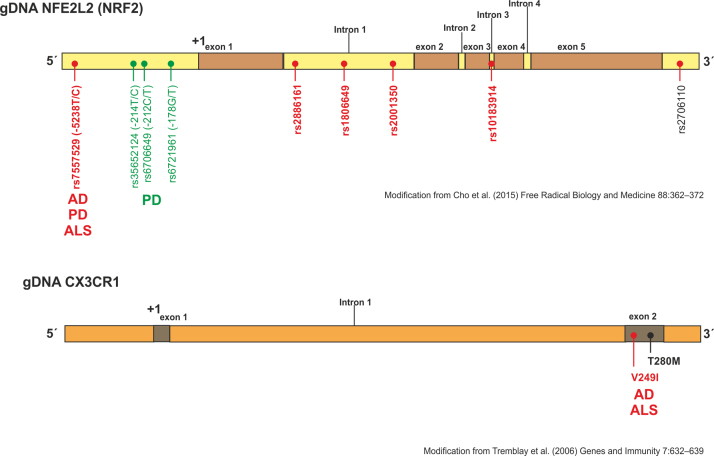 Fig. S3