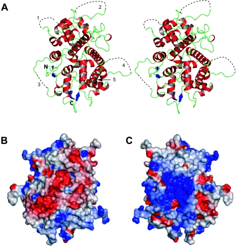 FIG. 2.